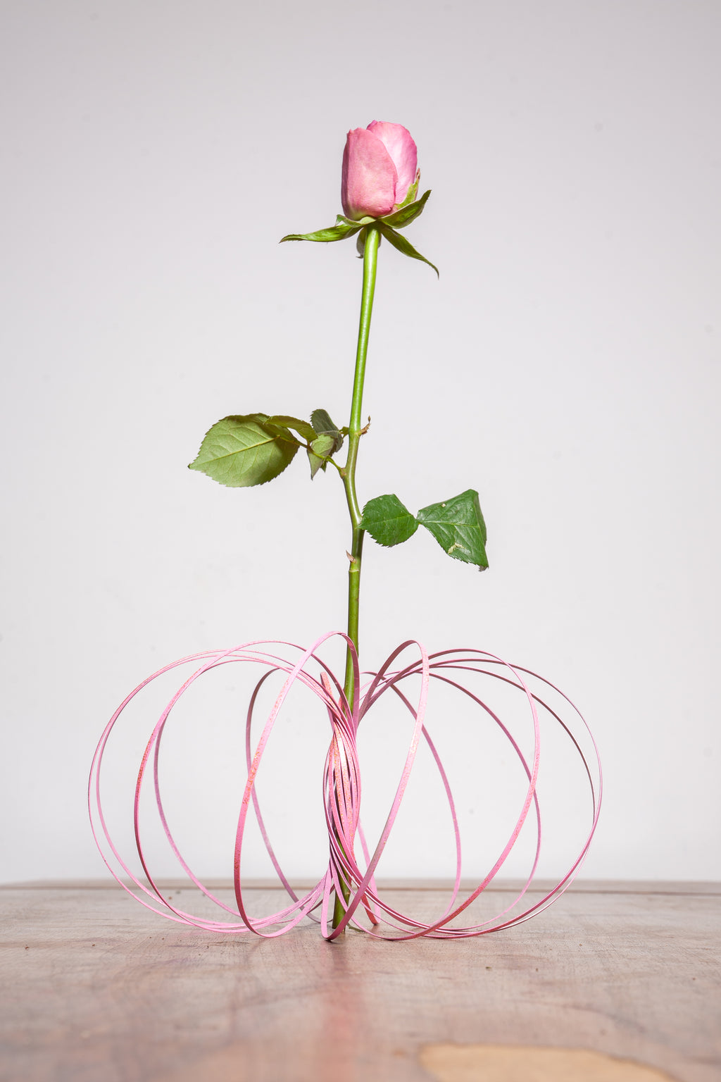 buntes Loopi - Pinky and Brain