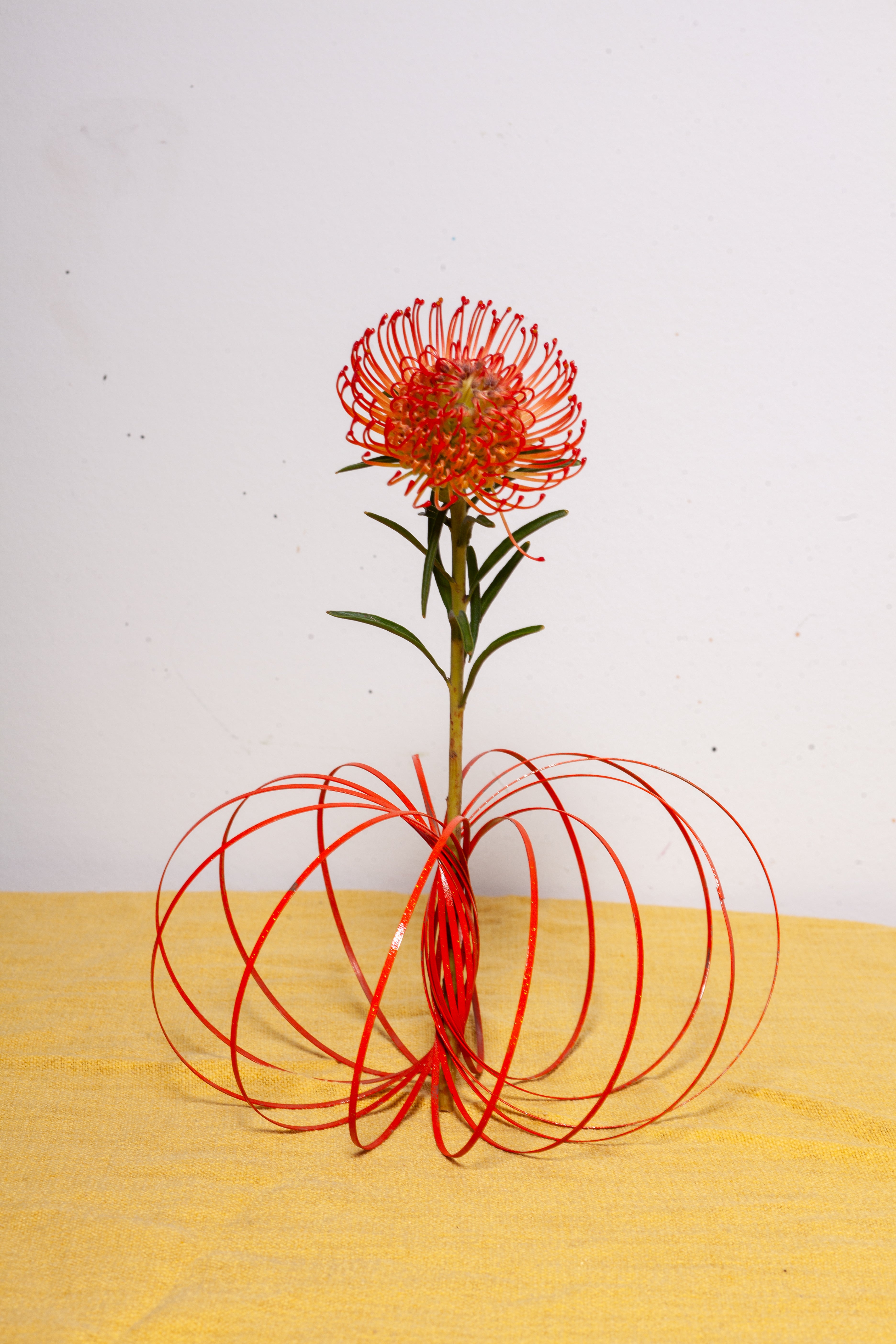 buntes Loopi - Bloody Mary Red