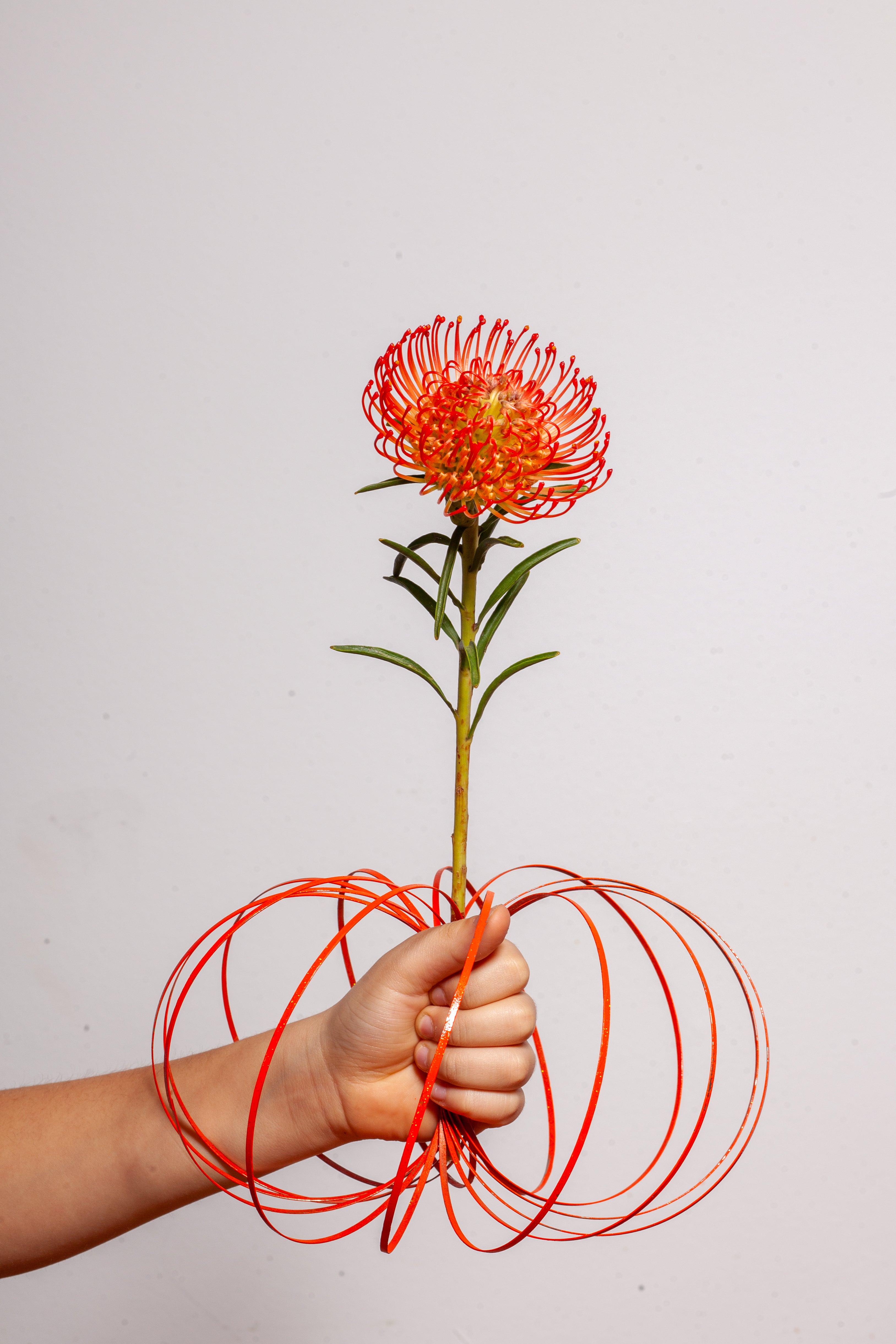 buntes Loopi - Bloody Mary Red