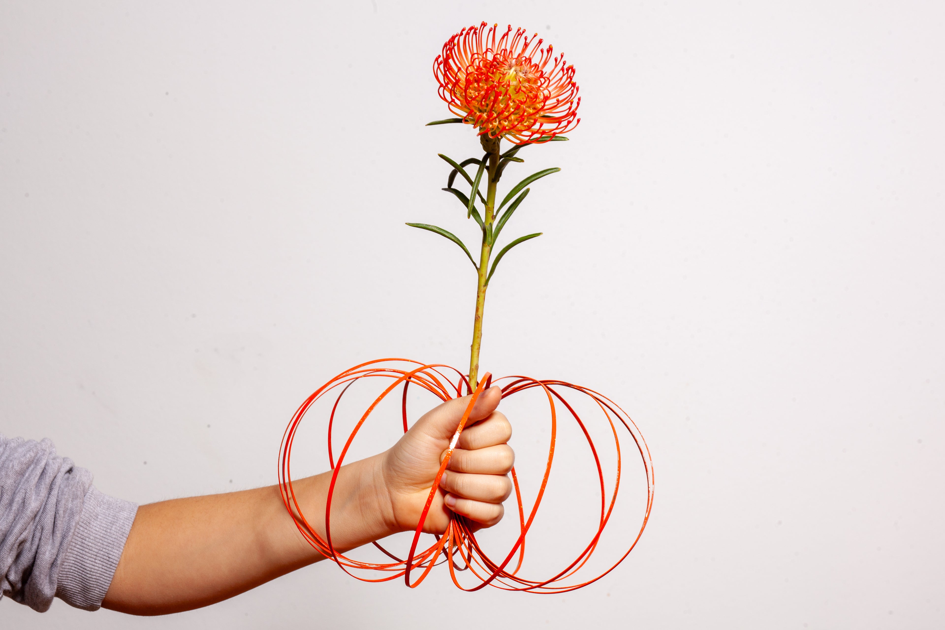 buntes Loopi - Bloody Mary Red