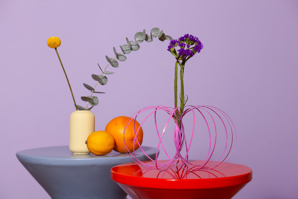 buntes Loopi - Pinky and Brain