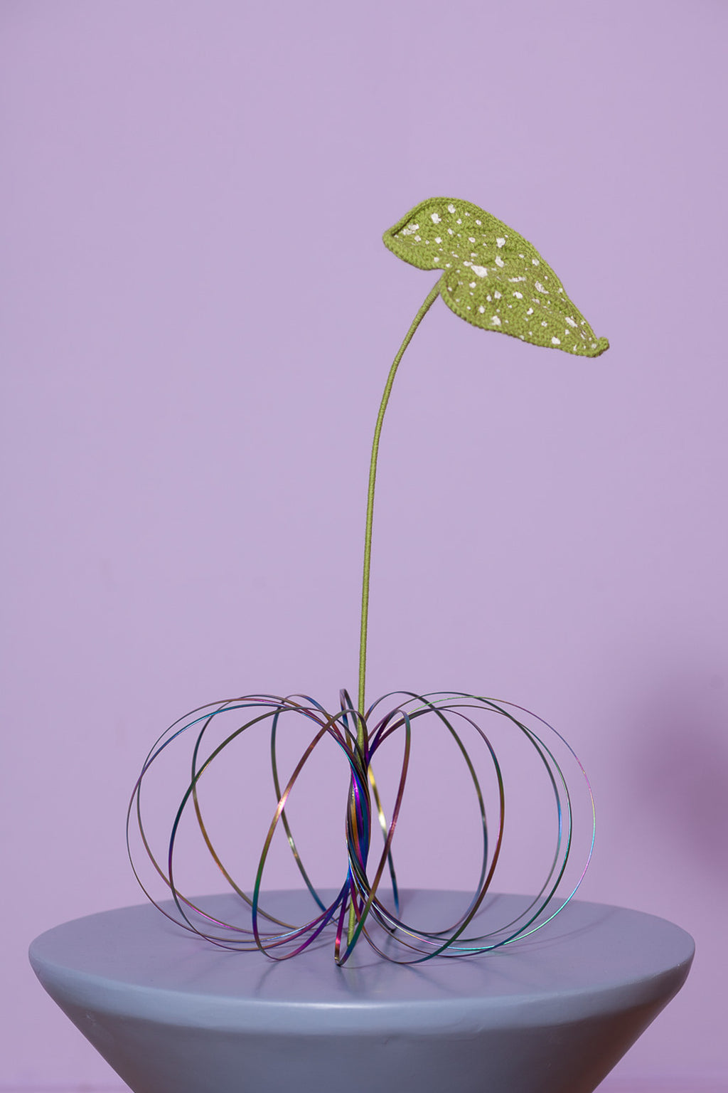 all in one Loopi - Rainbow